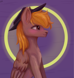 Size: 1625x1725 | Tagged: safe, artist:ske, imported from derpibooru, oc, oc only, oc:calamity, pegasus, pony, fallout equestria, blushing, cowboy hat, dashite, fanfic, fanfic art, hat, male, nimbus, profile, sitting, solo, stallion, wings