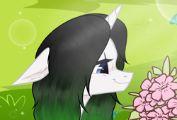 Size: 3000x2044 | Tagged: safe, artist:kim0508, artist:sparkling_light, imported from derpibooru, oc, oc:vex vixen, pony, unicorn, flower, grass, grass field, smiling, sunglare