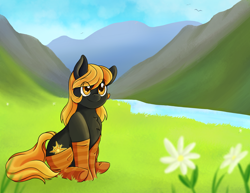 Size: 3300x2550 | Tagged: safe, artist:coffiheart, imported from derpibooru, oc, oc only, oc:golden glory, earth pony, pony, clothes, flower, scenery, sitting, smiling, socks, solo, striped socks