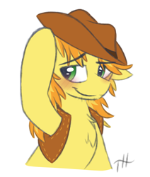 Size: 2750x3250 | Tagged: safe, artist:fakskis, imported from derpibooru, braeburn, earth pony, pony, 45 minute art challenge, blushing, braebetes, bust, chest fluff, clothes, colored sketch, cowboy hat, cute, eyebrows, eyebrows visible through hair, floppy ears, hat, high res, male, simple background, sketch, solo, stallion, tip, vest, white background