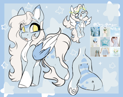Size: 2730x2154 | Tagged: safe, artist:missclaypony, imported from derpibooru, oc, oc only, pegasus, pony, female, mare, moodboard, reference sheet, solo, two toned wings, wings