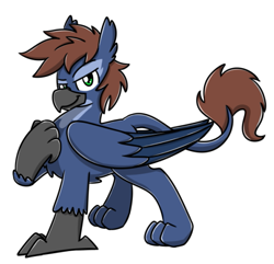 Size: 507x489 | Tagged: safe, artist:sugar morning, imported from derpibooru, oc, oc only, oc:warly, griffon, beak, chest fluff, claws, ear fluff, folded wings, griffonized, lidded eyes, looking at you, male, patreon, patreon reward, paws, simple background, smiling, smirk, smug, solo, species swap, white background, wings