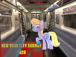 Size: 3264x2448 | Tagged: safe, artist:topsangtheman, imported from derpibooru, cloud kicker, pegasus, pony, coronavirus, covid-19, face mask, irl, looking at you, new york city, new york city subway, photo, ponies in real life