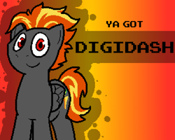 Size: 1000x800 | Tagged: safe, artist:pokefound, deleted from derpibooru, imported from derpibooru, oc, oc:digidash, pegasus, pony, banned from equestria daily, solo, ya got