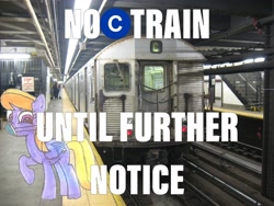 Size: 2048x1536 | Tagged: safe, artist:topsangtheman, imported from derpibooru, cloud kicker, pegasus, pony, c train, coronavirus, covid-19, irl, looking at you, n95, new york city, new york city subway, photo, ponies in real life, ppe, r32