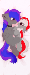 Size: 1608x3928 | Tagged: safe, artist:little-sketches, artist:php146, imported from derpibooru, oc, oc only, pegasus, pony, unicorn, body pillow, body pillow design, female, male, mare, stallion