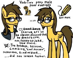 Size: 1200x950 | Tagged: safe, artist:vadytwy, imported from derpibooru, oc, oc only, oc:vadytwy, earth pony, pony, pony town, beard, clothes, cutie mark, earth pony oc, facial hair, glasses, male, reference sheet, solo, stallion