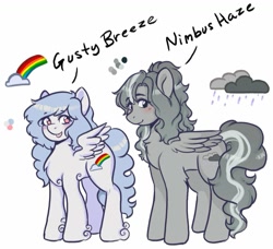 Size: 1031x941 | Tagged: safe, artist:poofindi, imported from derpibooru, oc, oc only, oc:gusty breeze, oc:nimbus haze, pegasus