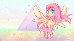 Size: 1920x1080 | Tagged: safe, artist:musicfirewind, artist:wavecipher, imported from derpibooru, fluttershy, pegasus, pony, cute, female, flower, grass, head turn, looking at you, mare, petals, serenity, shyabetes, smiling, solo, spread wings, standing, triangle, turned head, wallpaper, windswept mane, wings