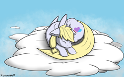 Size: 1920x1200 | Tagged: safe, artist:skydreams, imported from derpibooru, oc, oc only, oc:loves lift, pegasus, pony, behaving like a cat, cloud, commission, curled up, female, mare, on a cloud, sleeping, solo