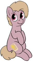 Size: 314x605 | Tagged: safe, artist:heretichesh, imported from derpibooru, oc, oc only, oc:soft sermon, earth pony, pony, bible, cutie mark, male, simple background, solo, white background