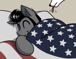 Size: 1008x792 | Tagged: safe, artist:katputze, imported from derpibooru, oc, oc only, oc:sasha (dog), oc:sketchy, dog, earth pony, pony, american flag, bed, digital art, male, pillow, sleeping, solo, stallion, sweet dreams fuel, tongue out