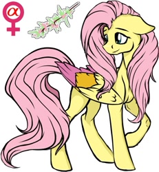 Size: 577x625 | Tagged: safe, artist:chrysolite, imported from derpibooru, part of a set, fluttershy, pegasus, pony, alpha, colored wings, fanfic art, female, herm, intersex, mare, simple background, solo, white background, wings