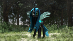 Size: 3840x2160 | Tagged: safe, artist:freasaloz, imported from derpibooru, queen chrysalis, changeling, changeling queen, 3d, female, forest, solo, source filmmaker