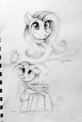 Size: 1381x2048 | Tagged: safe, artist:_mpiesocks, artist:raily, imported from derpibooru, fluttershy, bird, pegasus, pony, black and white, bust, female, grayscale, mare, monochrome, sketch, solo, talking, traditional art, tree branch, wings