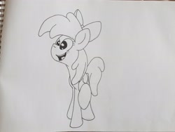 Size: 4032x3024 | Tagged: safe, artist:bigmackintosh, imported from derpibooru, apple bloom, pony, bow, female, mare, monochrome, older, older apple bloom, sketch, solo, traditional art