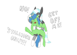 Size: 2615x1855 | Tagged: safe, artist:sufficient, edit, imported from derpibooru, oc, oc only, oc:quick fix, oc:snowcap, bat pony, pony, unicorn, angry, bat pony oc, bat wings, brush, brushing, bully, bullying, female, hairbrush, holding, holding a pony, kicking, male, markings, simple background, sitting, sitting on lap, squirming, text, trap, white background, wings