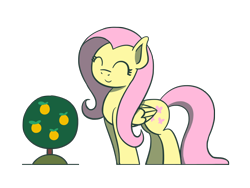 Size: 1800x1350 | Tagged: safe, artist:flutterluv, imported from derpibooru, fluttershy, pegasus, pony, cute, eyes closed, female, fluttershy day, mare, orange tree, shyabetes, simple background, solo, transparent background, tree