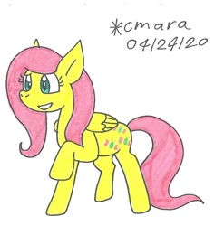 Size: 882x894 | Tagged: safe, artist:cmara, imported from derpibooru, fluttershy, pegasus, pony, cute, female, happy, mare, raised hoof, shyabetes, solo, traditional art