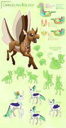 Size: 3000x5800 | Tagged: safe, artist:jackiebloom, imported from derpibooru, ocellus, silverstream, changeling, changeling queen, classical hippogriff, hippogriff, moth, mothling, original species, absurd resolution, anatomy, beanbag chair, brown changeling, female, headcanon, simple background, species swap, worldbuilding
