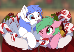 Size: 3508x2480 | Tagged: safe, artist:arctic-fox, imported from derpibooru, oc, oc only, oc:pine berry, oc:snow pup, earth pony, pegasus, pony, candy, candy cane, christmas, christmas stocking, clothes, food, holiday, holly, mints, nibbling, playful