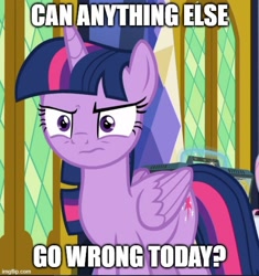 Size: 500x532 | Tagged: safe, edit, edited screencap, editor:twi clown, imported from derpibooru, screencap, twilight sparkle, alicorn, pony, the last problem, angry, caption, cropped, female, image macro, mare, meme, solo, tempting fate, text, twilight sparkle (alicorn)