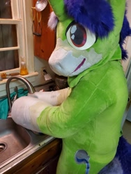 Size: 1536x2048 | Tagged: safe, imported from derpibooru, oc, oc only, oc:crescent star, crystal pony, pony, unicorn, crystal unicorn, fursuit, irl, kitchen, photo, ponysuit, pose, sink, solo, washing, washing hooves