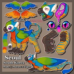 Size: 4000x4000 | Tagged: safe, artist:rehqwq, imported from derpibooru, oc, oc:seoul, big cat, bird, griffon, hybrid, macaw, original species, parrot, parrot griffon, tiger, griffon oc, male, paw pads, rehqwq, seoul