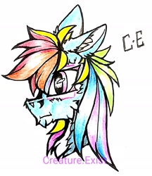 Size: 1648x1904 | Tagged: safe, artist:creature.exist, imported from derpibooru, rainbow dash, pegasus, pony, female, solo