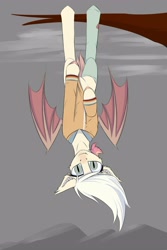 Size: 2000x3000 | Tagged: safe, artist:observerdoz, imported from derpibooru, oc, oc only, bat pony, pony, bat pony oc, bat wings, female, looking at you, solo, tree branch, upside down, wings