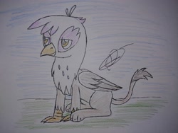 Size: 4032x3024 | Tagged: safe, artist:darthalex70, imported from derpibooru, gilda, griffon, bird day, female, simple background, solo, traditional art