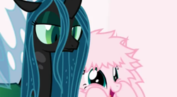 Size: 496x272 | Tagged: safe, artist:mixermike622, imported from derpibooru, queen chrysalis, oc, oc:fluffle puff, changeling, changeling queen, pony, excited, female, fluffy, hooves on face, lowres, pink background, queen chrysalis is not amused, simple background, unamused