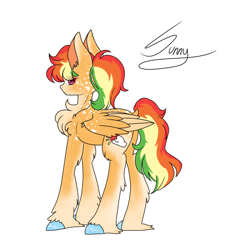 Size: 1024x1024 | Tagged: safe, artist:rosychild, imported from derpibooru, oc, oc only, oc:sunny acer, pegasus, pony, body freckles, chest fluff, colored hooves, female, freckles, magical lesbian spawn, next generation, offspring, parent:applejack, parent:rainbow dash, parents:appledash, simple background