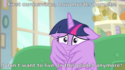 Size: 1280x720 | Tagged: safe, edit, edited screencap, imported from derpibooru, screencap, twilight sparkle, alicorn, pony, starlight the hypnotist, spoiler:interseason shorts, coronavirus, covid-19, faic, female, i don't want to live on this planet anymore, murder hornets, scared, solo, text, twilight sparkle (alicorn)