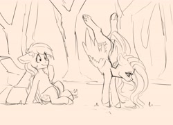 Size: 4000x2885 | Tagged: safe, artist:miokomata, imported from derpibooru, fluttershy, rainbow dash, pegasus, chest fluff, eyes on the prize, female, floppy ears, freckles, freckleshy, handstand, mare, monochrome, simple background, sketch, upside down