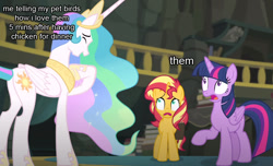 Size: 1000x609 | Tagged: safe, edit, edited screencap, editor:shyinka, imported from derpibooru, screencap, princess celestia, sunset shimmer, twilight sparkle, alicorn, pony, unicorn, equestria girls, equestria girls series, forgotten friendship, caption, cropped, dark comedy, exploitable meme, frightened, image macro, meme, text, trollestia, twilight sparkle (alicorn)