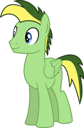 Size: 4000x6045 | Tagged: safe, artist:melisareb, imported from derpibooru, oc, oc only, oc:didgeree, pegasus, pony, derpibooru community collaboration, 2021 community collab, absurd resolution, inkscape, male, simple background, solo, stallion, transparent background, vector