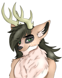 Size: 433x548 | Tagged: safe, artist:jbond, imported from derpibooru, oc, oc only, oc:jacky breeze, anthro, deer, anthro oc, deer oc, male, non-pony oc, simple background, solo, white background