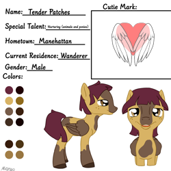 Size: 3000x3000 | Tagged: safe, artist:mikeyboo, imported from derpibooru, oc, oc:tender patches, pegasus, pony, coat markings, oc ref, pinto, reference sheet