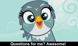 Size: 1905x1136 | Tagged: safe, edit, edited screencap, imported from derpibooru, screencap, gabby, griffon, comic:celestia's servant interview, the fault in our cutie marks, caption, cs captions, cute, female, gabbybetes, interview, looking at you, solo