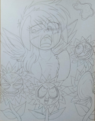 Size: 720x917 | Tagged: artist needed, safe, imported from derpibooru, rainbow dash, pegasus, pony, do princesses dream of magic sheep, faic, female, flower, mare, monochrome, nightmare sunflower, photo, sunflower, traditional art