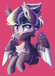 Size: 1920x2628 | Tagged: safe, artist:saxopi, imported from derpibooru, oc, oc only, pegasus, pony, solo