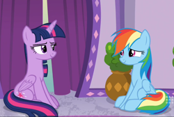 Size: 1030x692 | Tagged: safe, imported from derpibooru, screencap, rainbow dash, twilight sparkle, alicorn, deep tissue memories, spoiler:deep tissue memories, cropped, duo, female, looking at each other, sitting, smiling, stare, twilight sparkle (alicorn)