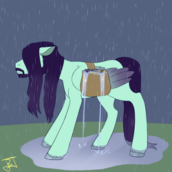 Size: 1280x1280 | Tagged: safe, artist:jitterbugjive, imported from derpibooru, oc, oc:trot along, pegasus, bag, rain, saddle bag, tools