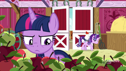 Size: 1280x720 | Tagged: safe, imported from derpibooru, screencap, starlight glimmer, twilight sparkle, alicorn, bird, chicken, harvesting memories, spoiler:harvesting memories, spoiler:mlp friendship is forever, apple, barn, book, food, hay bale, pitchfork, twilight sparkle (alicorn)