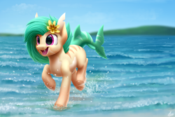 Size: 3000x2000 | Tagged: safe, artist:luminousdazzle, imported from derpibooru, oc, oc only, oc:tropical reef, original species, pony, shark, shark pony, cute, cute little fangs, fangs, female, flower, flower in hair, high res, mare, markings, ocean, open mouth, paint tool sai, pale belly, running, seashore, semi-realistic, solo