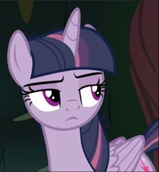 Size: 869x941 | Tagged: safe, imported from derpibooru, screencap, mean twilight sparkle, pony, the mean 6, cropped, female, lidded eyes, solo, unimpressed