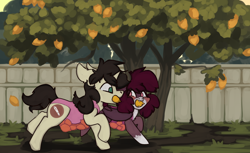 Size: 1600x981 | Tagged: safe, artist:bramble patch, artist:marsminer, imported from derpibooru, oc, oc only, oc:bramble patch, oc:keith, bat pony, pony, unicorn, clothes, crossdressing, female, fence, food, lemon, lemon tree, leotard, male, stealing, this will not end well, tree