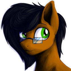 Size: 540x540 | Tagged: safe, artist:notetaker, imported from derpibooru, oc, oc only, oc:notetaker, earth pony, pony, bust, digital art, glasses, male, portrait, simple background, solo, stallion, transparent background