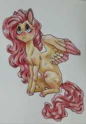 Size: 1024x1468 | Tagged: safe, artist:twixyamber, imported from derpibooru, fluttershy, pegasus, pony, cloven hooves, colored hooves, female, looking away, looking up, mare, sitting, solo, spread wings, three quarter view, traditional art, two toned wings, wings